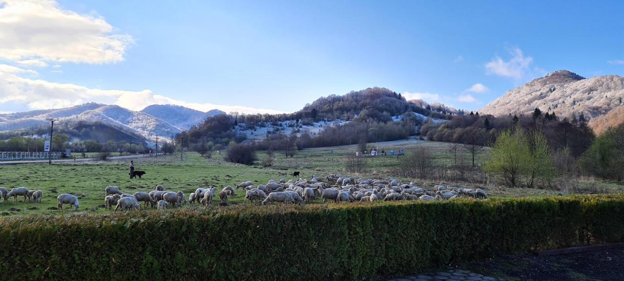 Poiana Rasnoavei Hotel Rîşnov Екстериор снимка