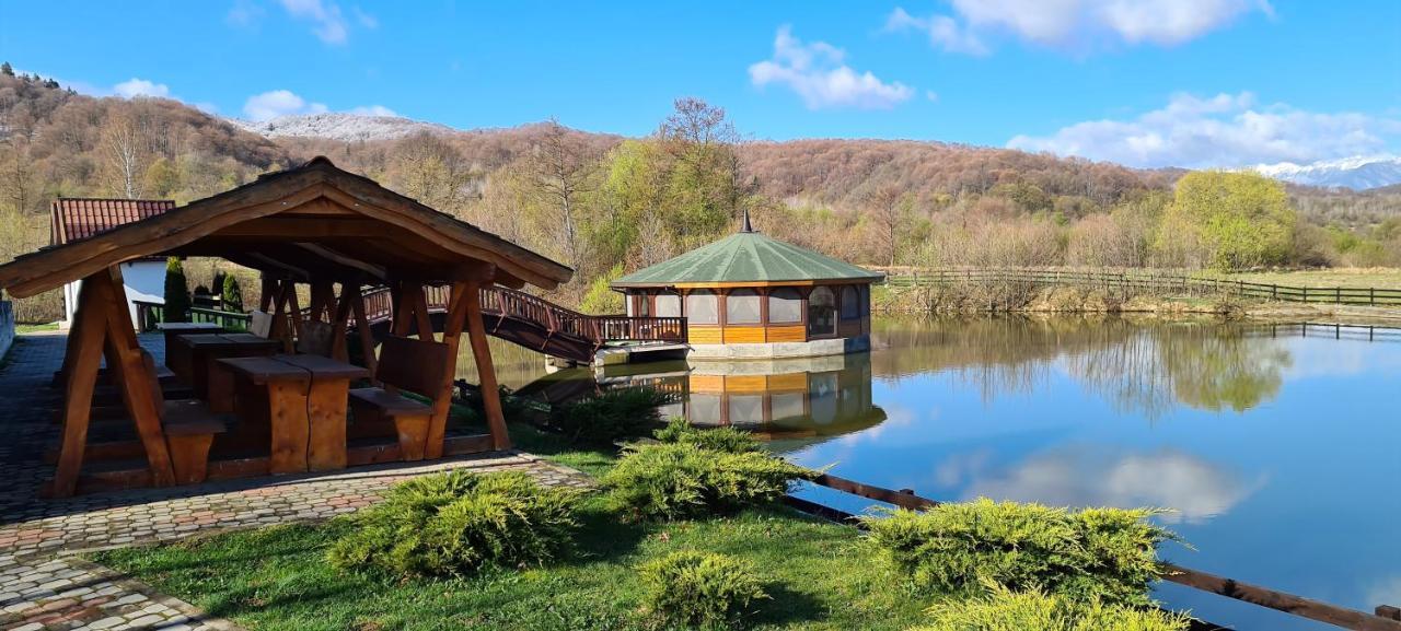 Poiana Rasnoavei Hotel Rîşnov Екстериор снимка