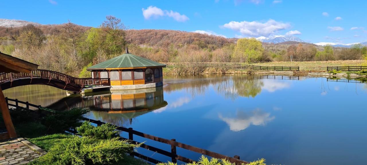 Poiana Rasnoavei Hotel Rîşnov Екстериор снимка