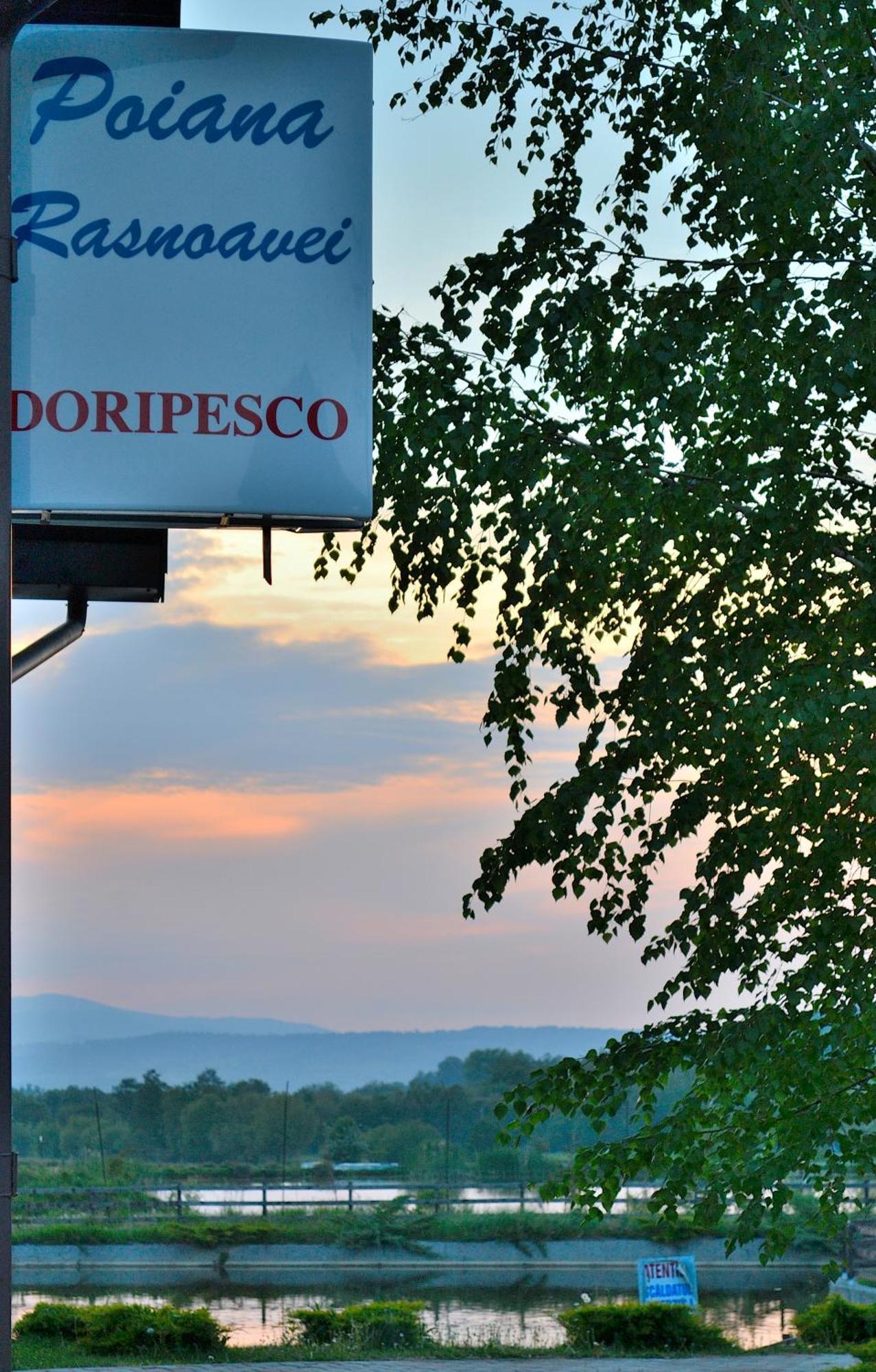 Poiana Rasnoavei Hotel Rîşnov Екстериор снимка