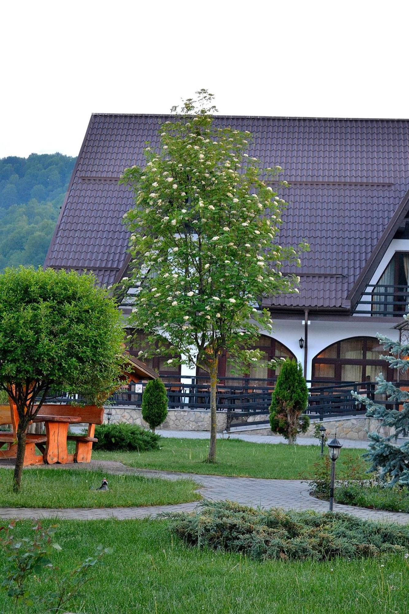 Poiana Rasnoavei Hotel Rîşnov Екстериор снимка