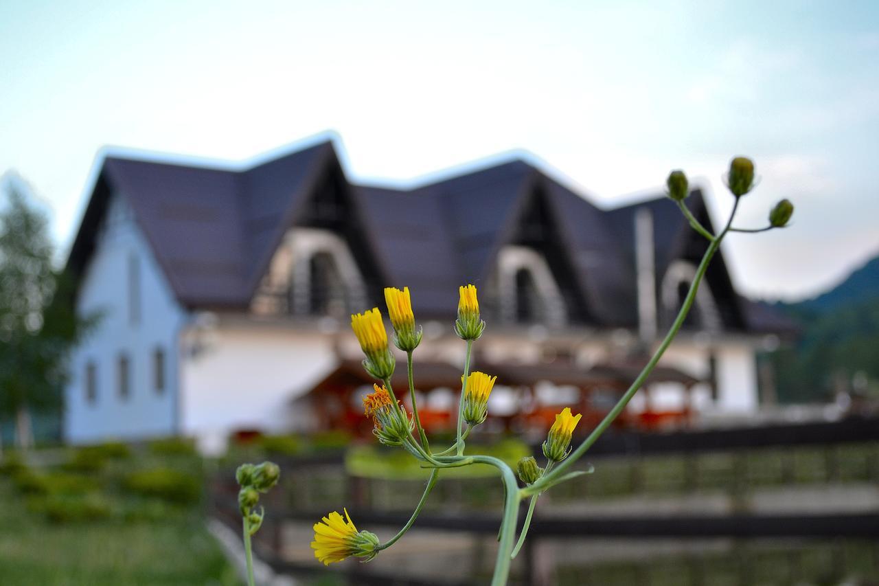 Poiana Rasnoavei Hotel Rîşnov Екстериор снимка